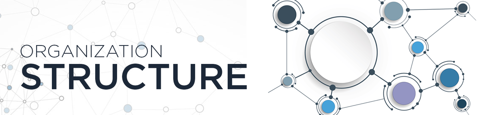 Organization Structure