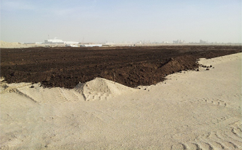 Enviromental-Waste-Management